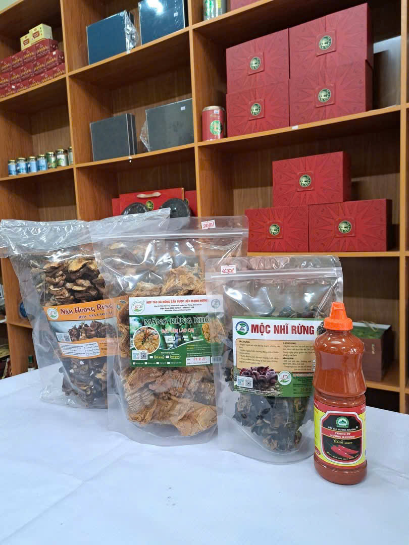 Các loại nấm rừng khô